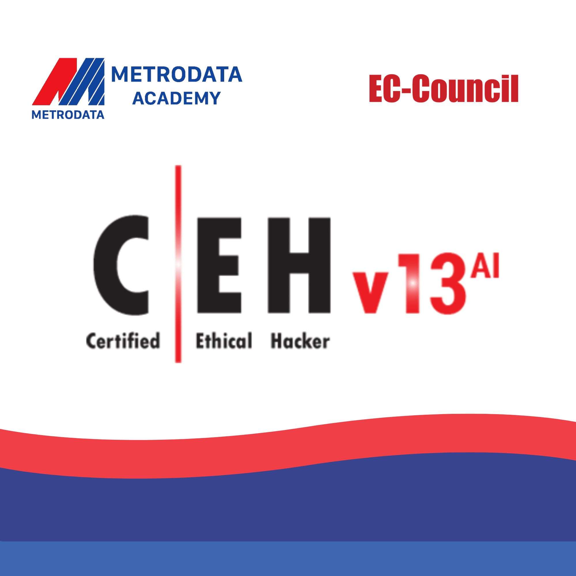 EC-Council Certified Ethical Hacker (CEH) | Talentvis Academy